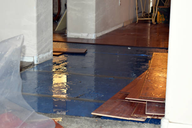 Professional Water Damage Restoration technician working in Hercules, CA
